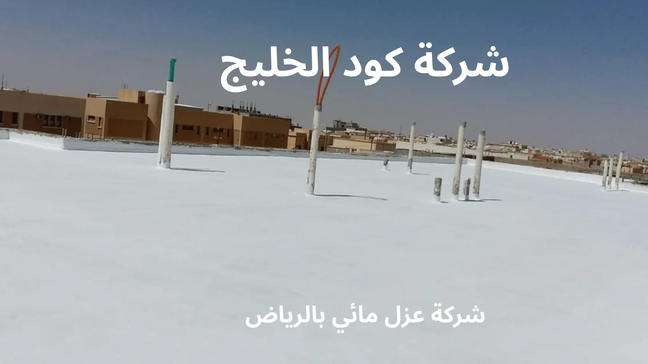 شركة عزل مائي بالرياض