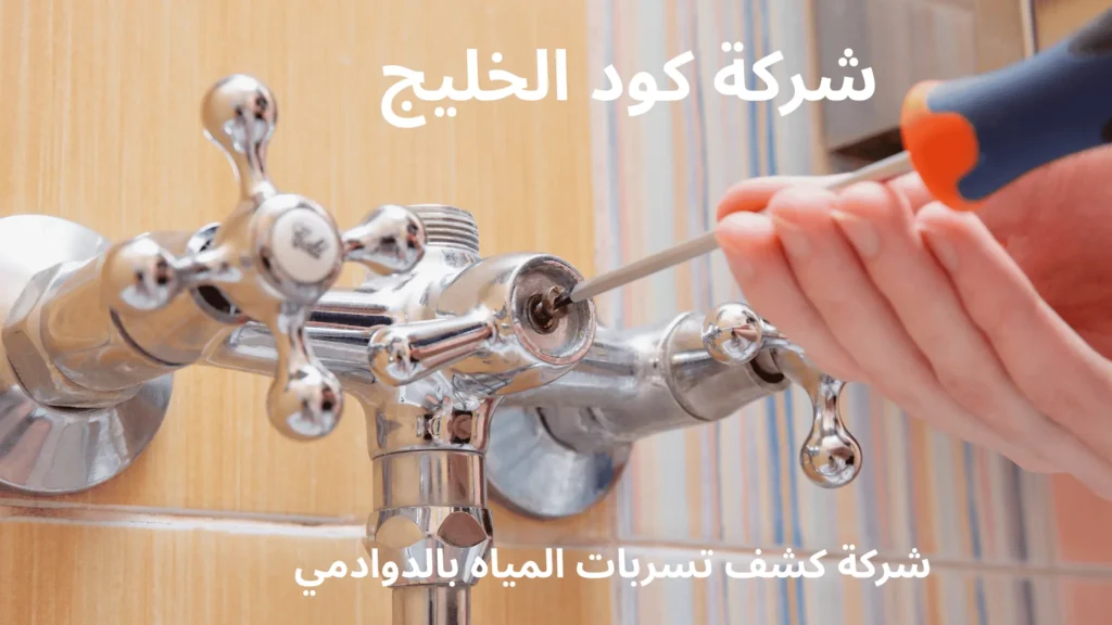 شركة كشف تسربات المياه بالدوادمي