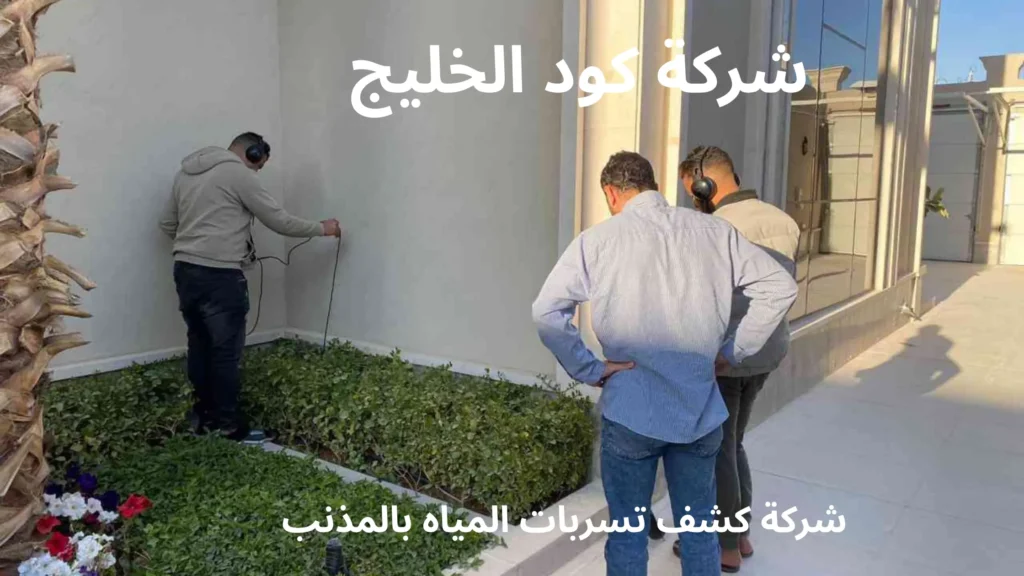 شركة كشف تسربات المياه بالمذنب