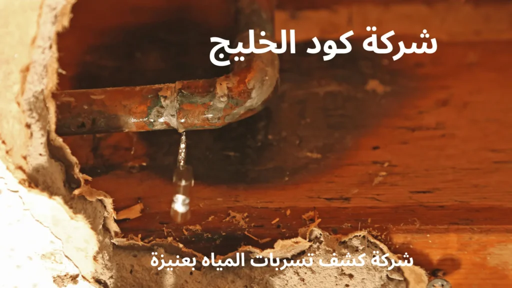 شركة كشف تسربات المياه بعنيزة